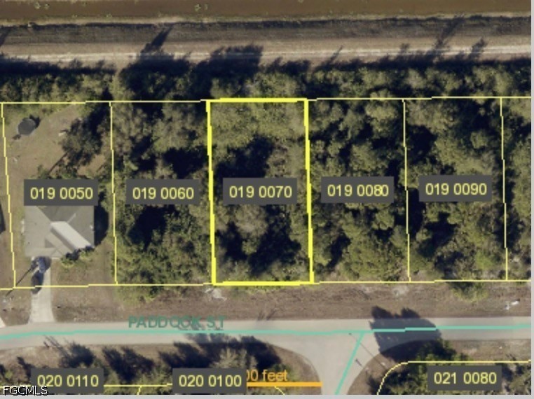 319 Paddock ST Property Photo 1