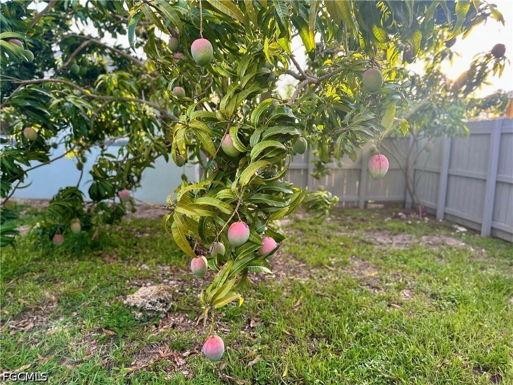 1495 Cranville Sq Property Photo 36