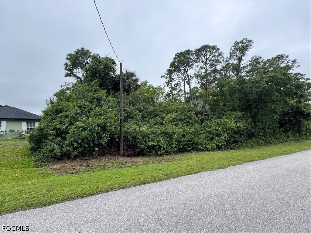3841 Hillandale St Property Photo 3