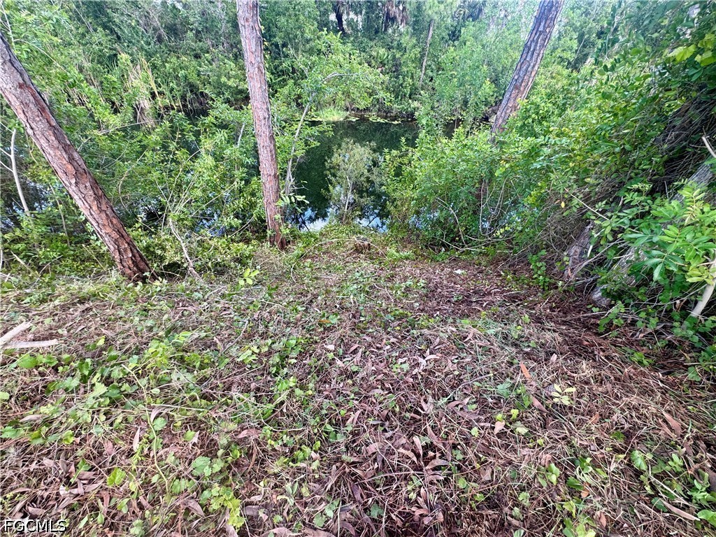 207 Wilmington Pkwy Property Photo 9