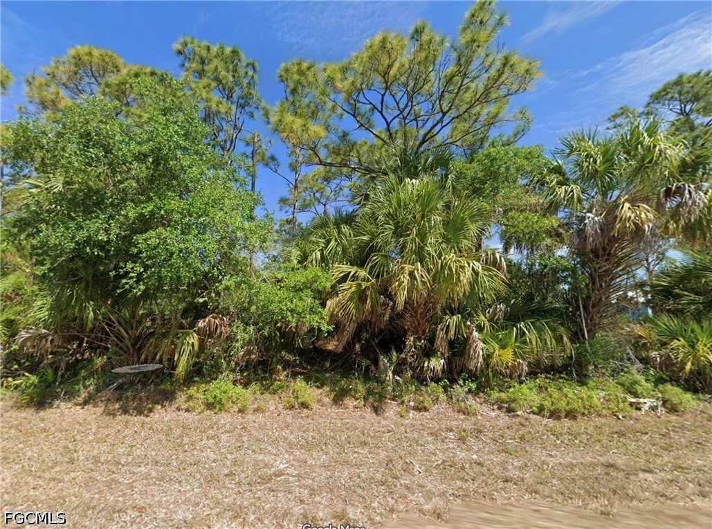 1272 Lace Ter Property Photo 3