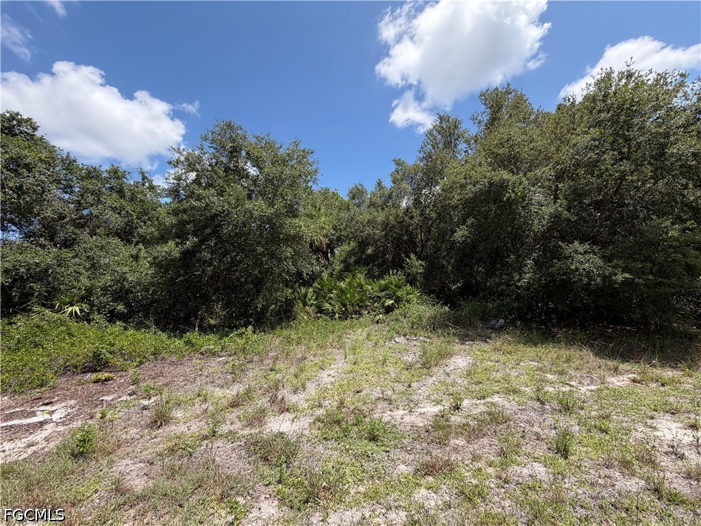 128 Rosemont Pl Property Photo 5
