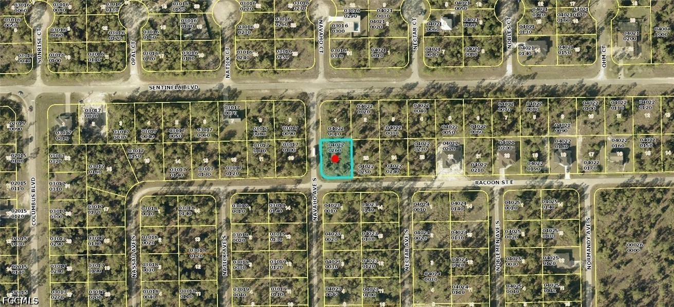 1223 Racoon ST E Property Photo 1