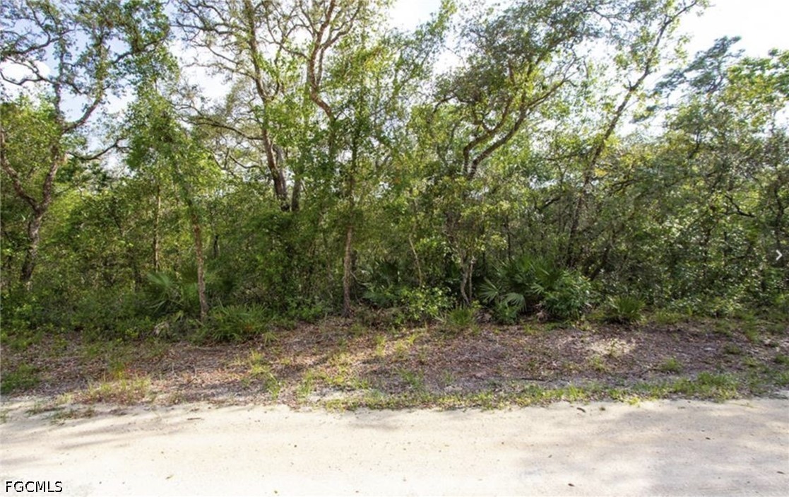 34287 Berryhill Dr Property Photo 5