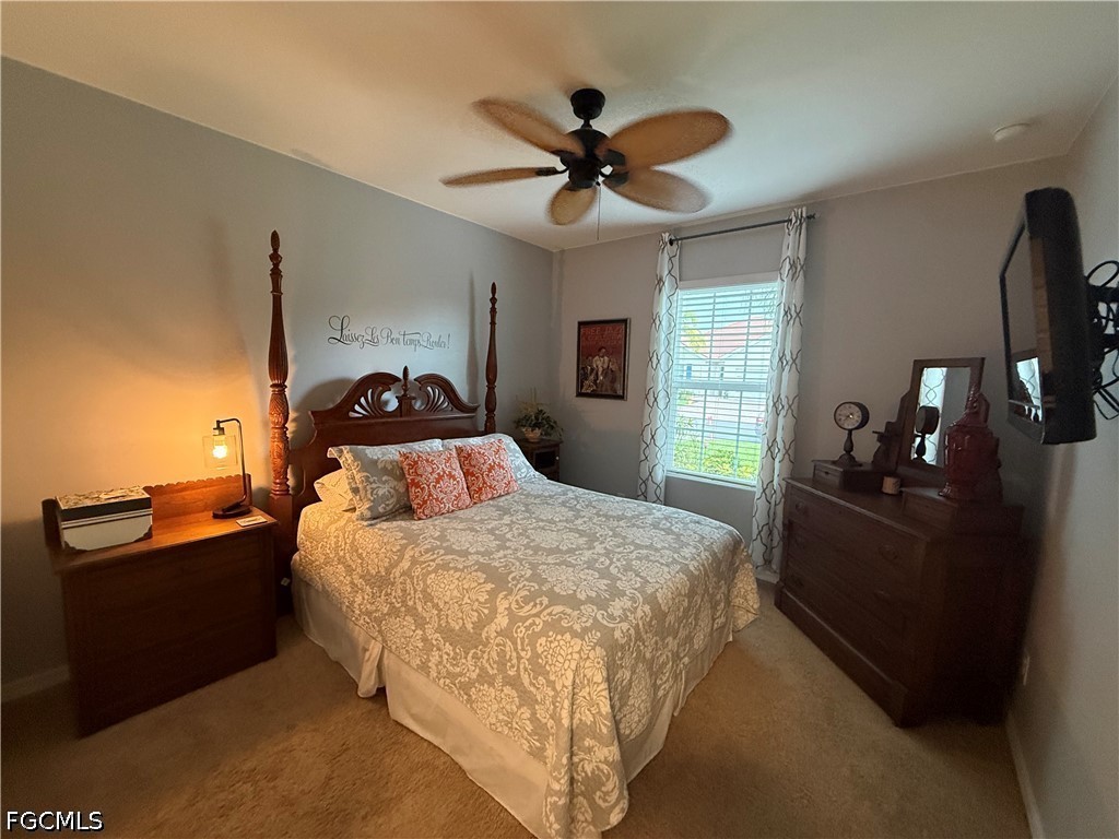 3217 Birch Tree Ln Property Photo 42