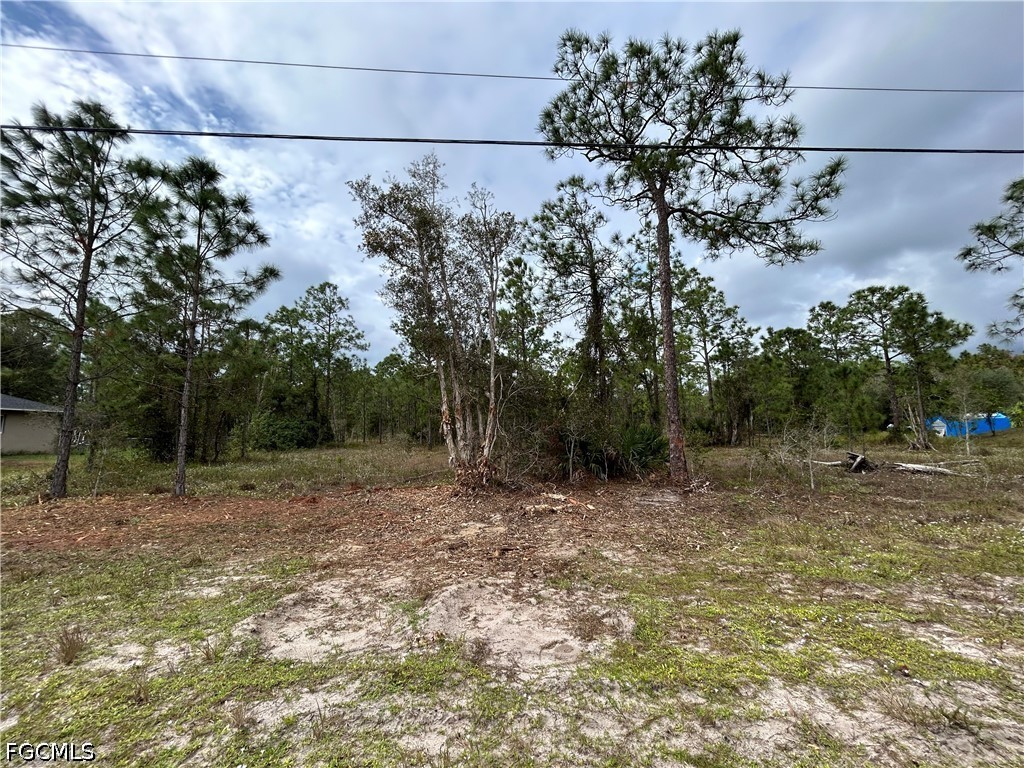 445 Jaguar Blvd Property Photo 2
