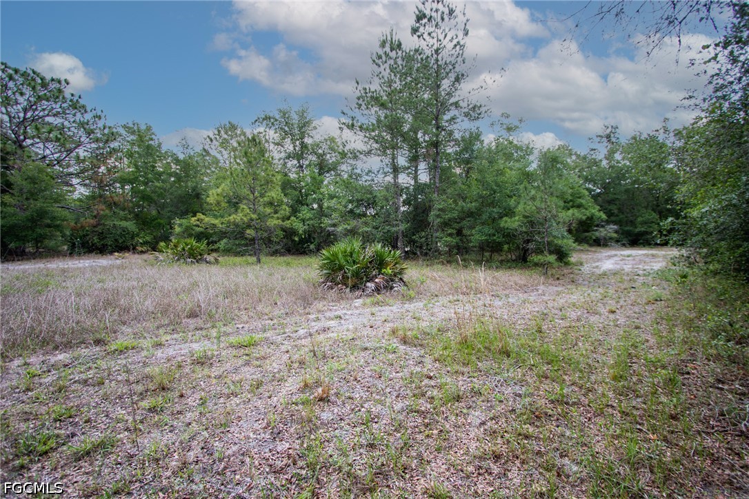 34122 August Ave Property Photo 5