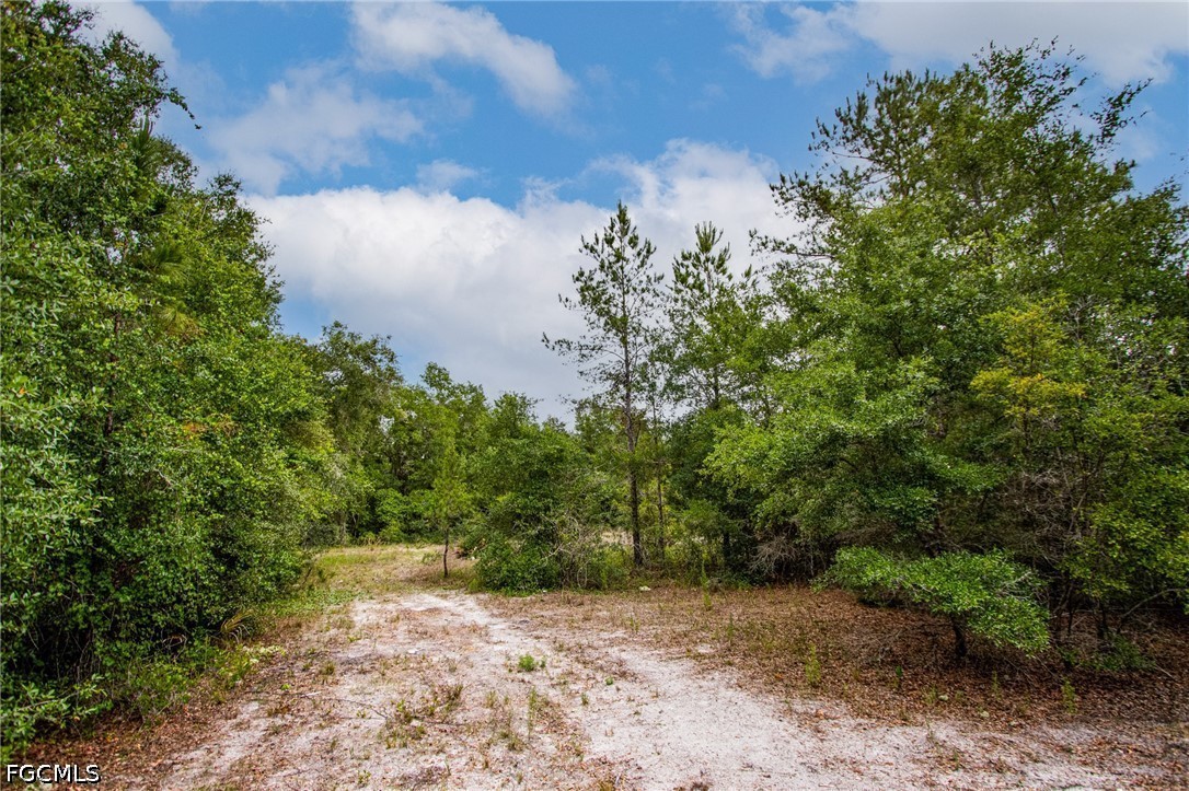 34122 August Ave Property Photo 7