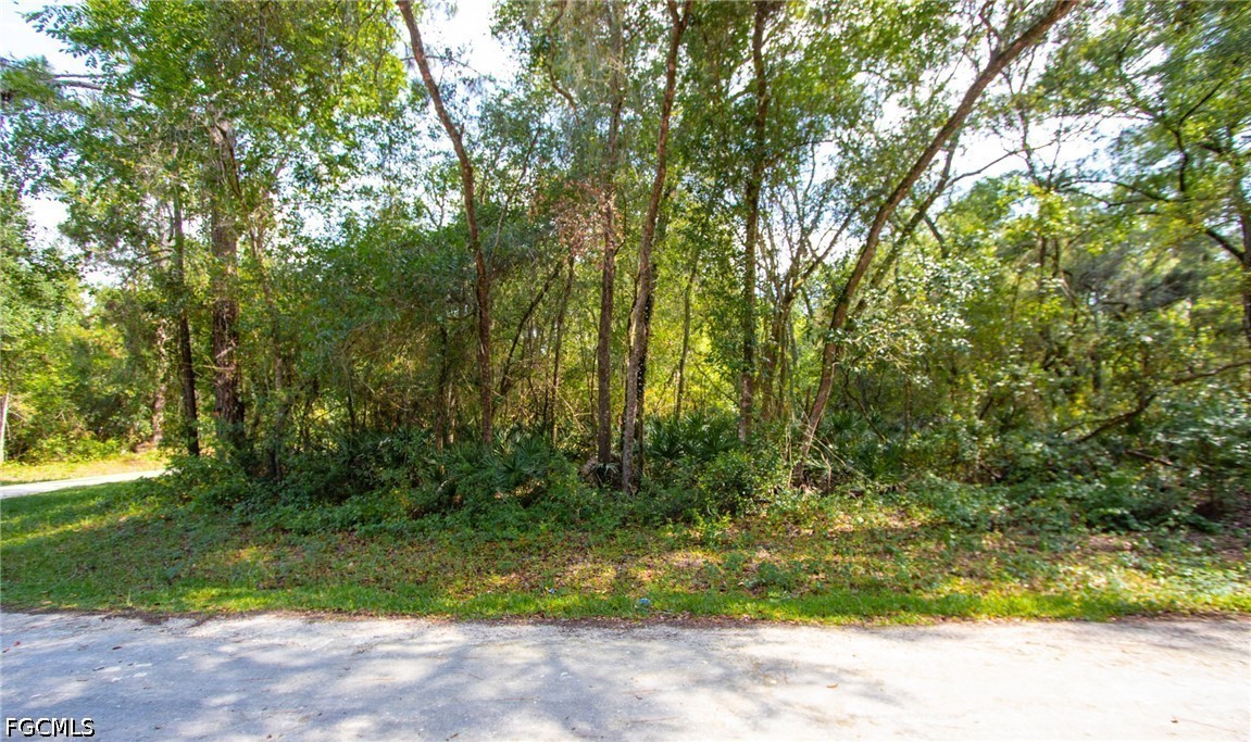 Packingham Dr Property Photo 2