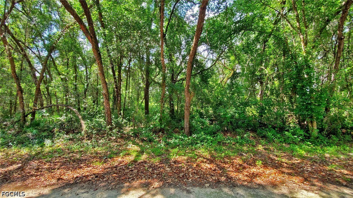35084 Batesfield St Property Photo 4