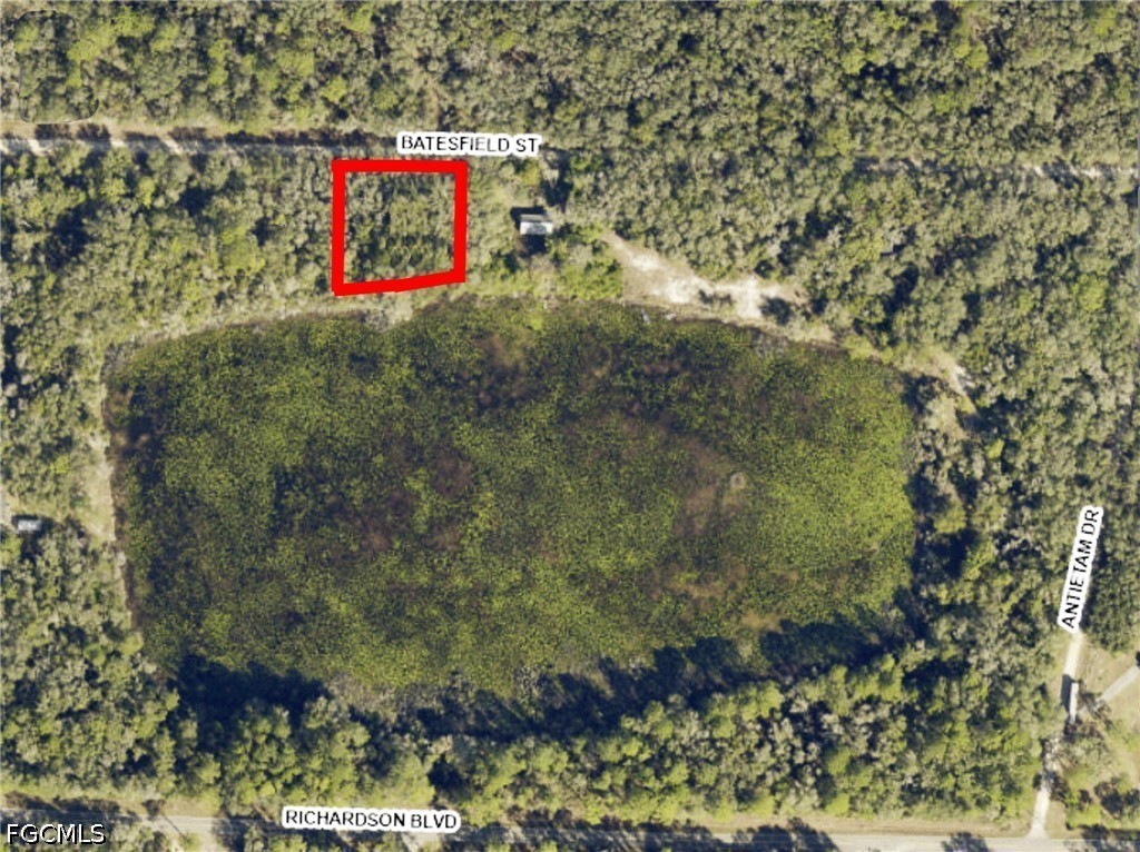 35028 Batesfield St Property Photo 6
