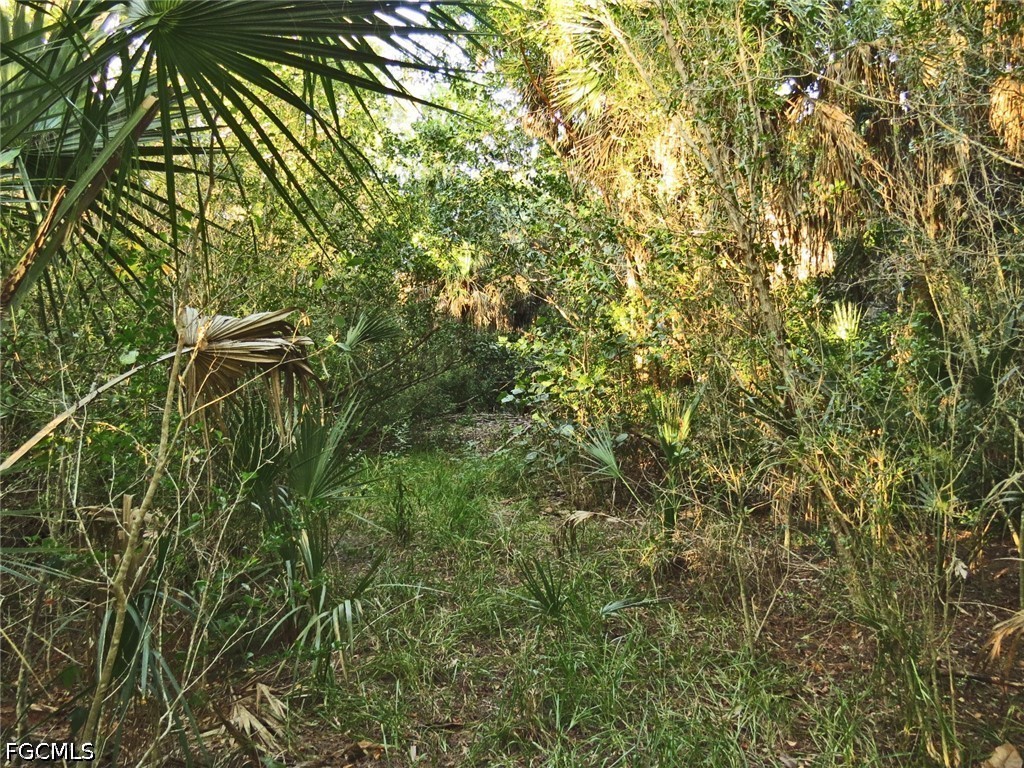 6095 Dinkins Lake Rd Property Photo 4
