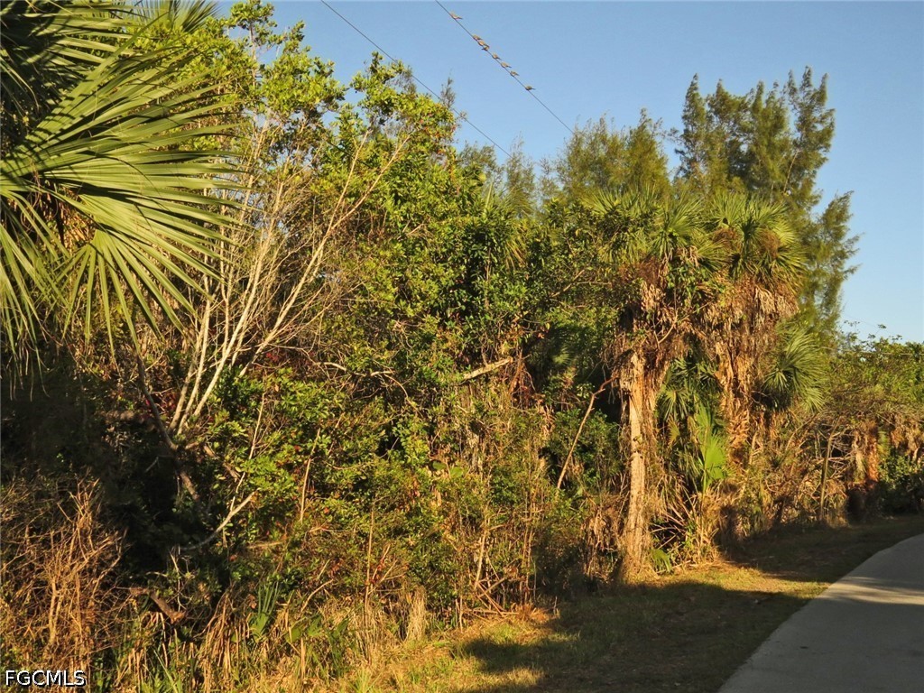 6095 Dinkins Lake Rd Property Photo 7