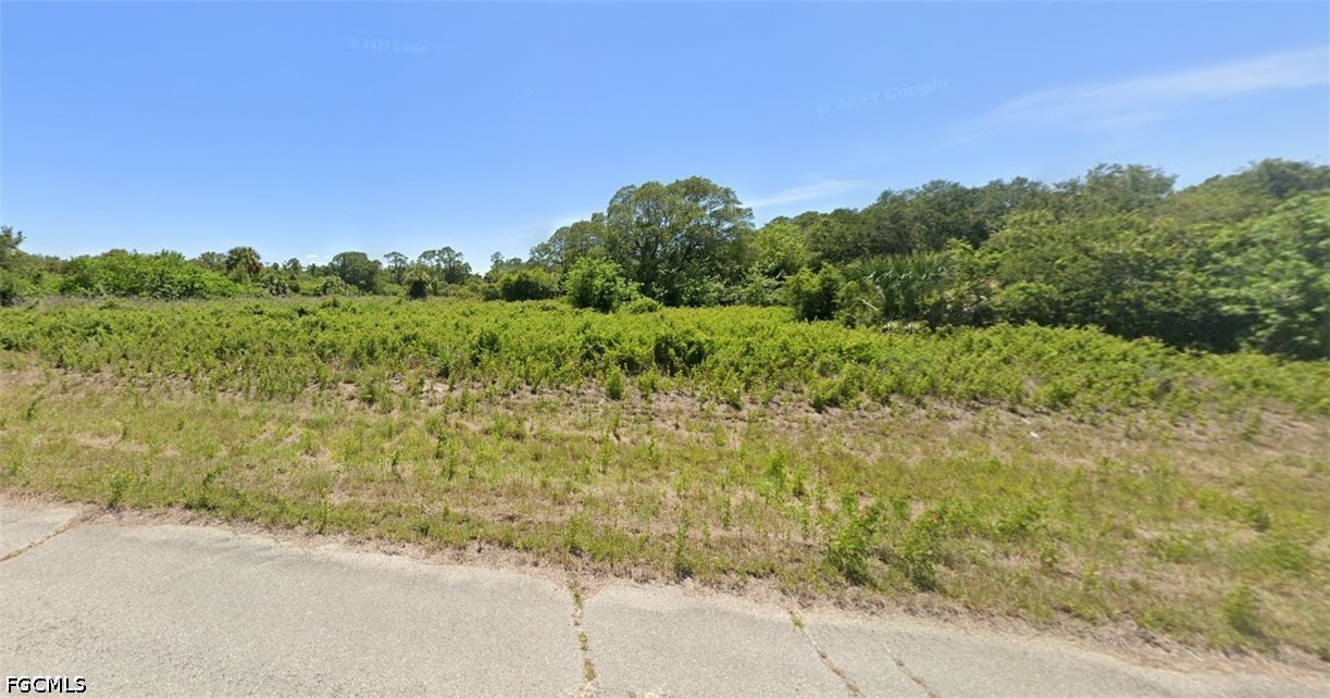1116 Silverfish Dr Property Photo 3