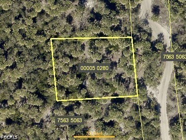 Dolphin Dr Property Photo 1