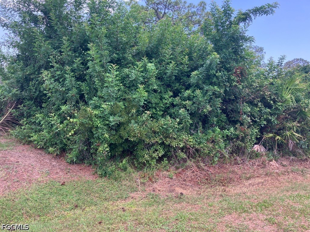1494 Youngman St Property Photo 3