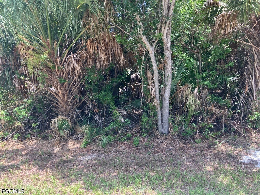 7219 Freeberg Cir Property Photo 6