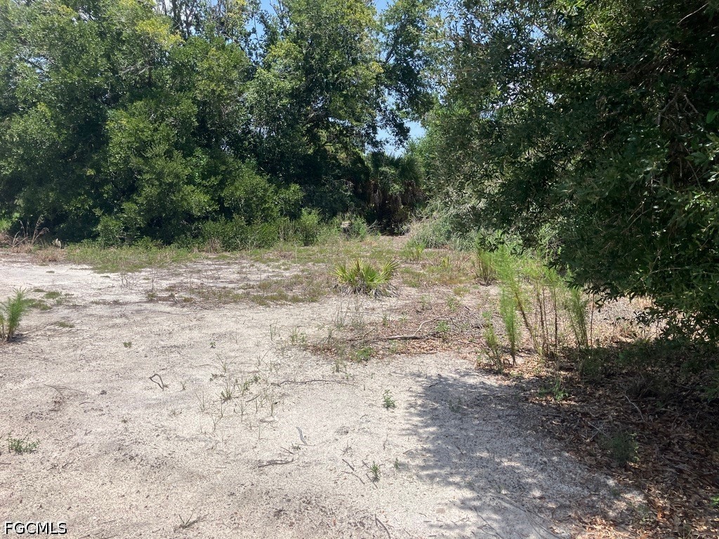 7219 Freeberg Cir Property Photo 8