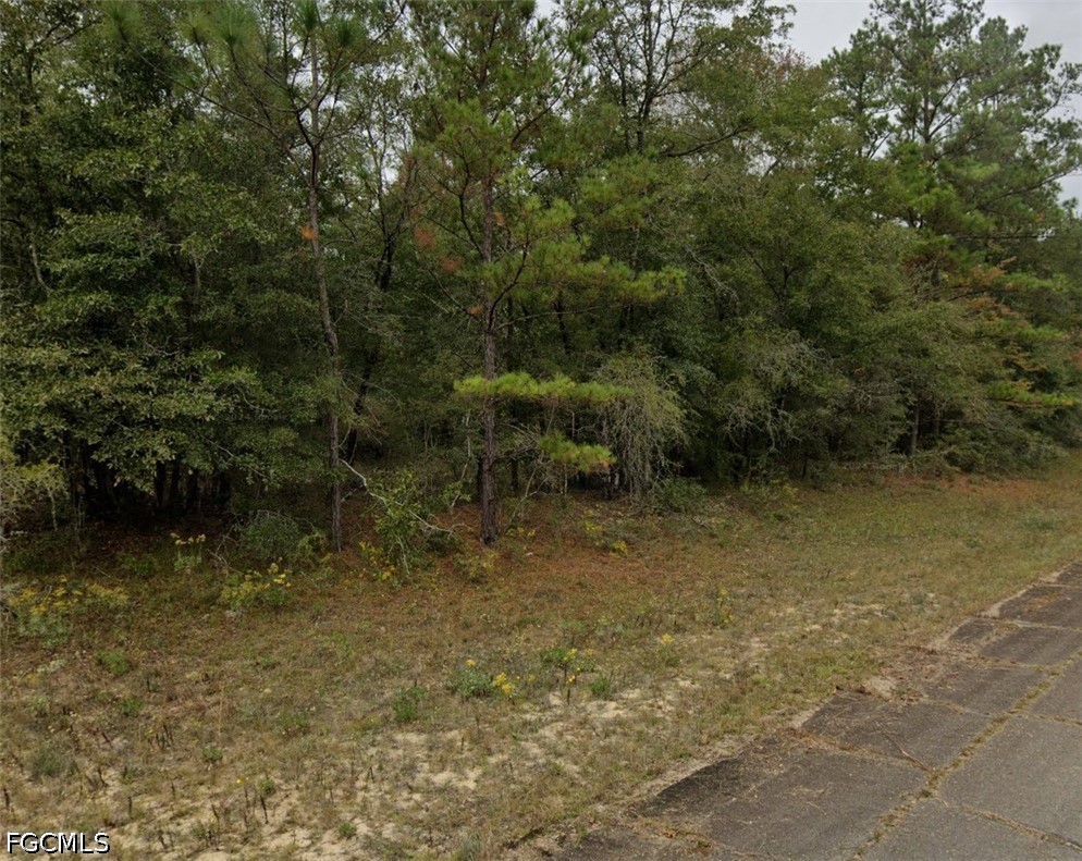 Darlington Dr Property Photo 2