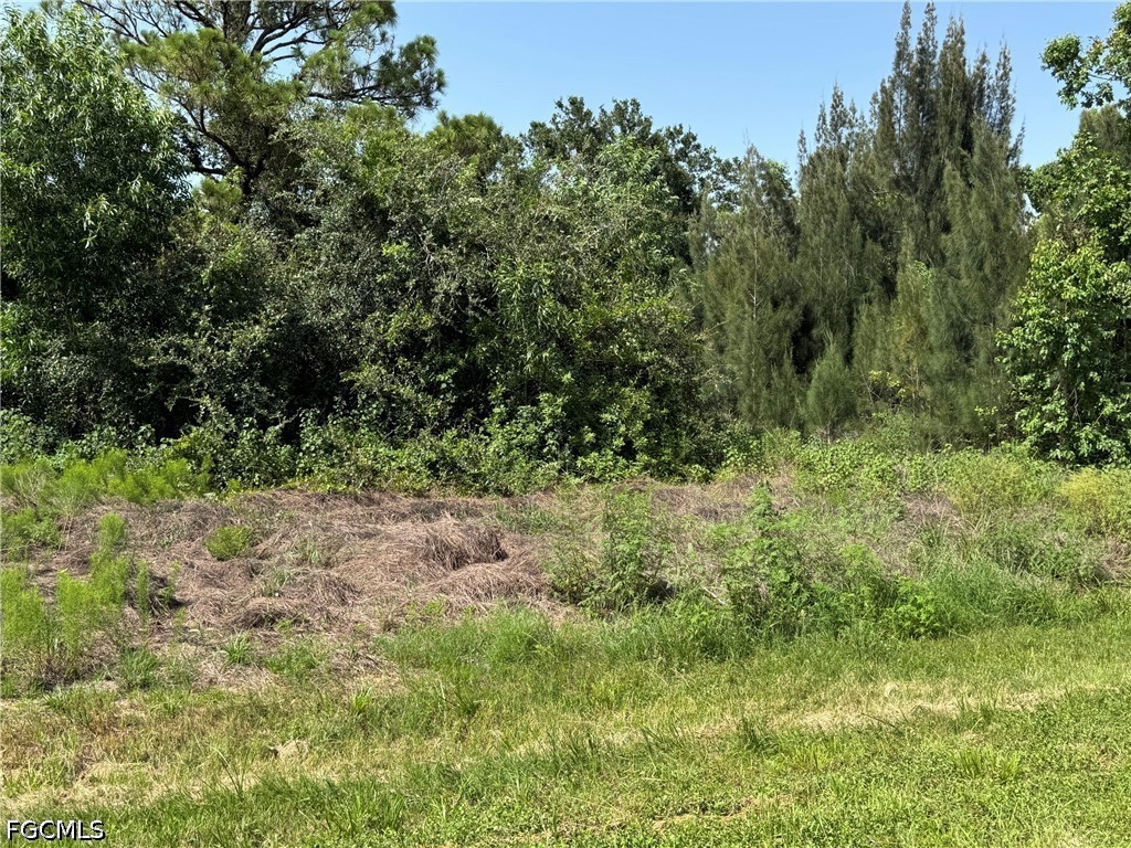 28172 Barstow Dr Property Photo 1
