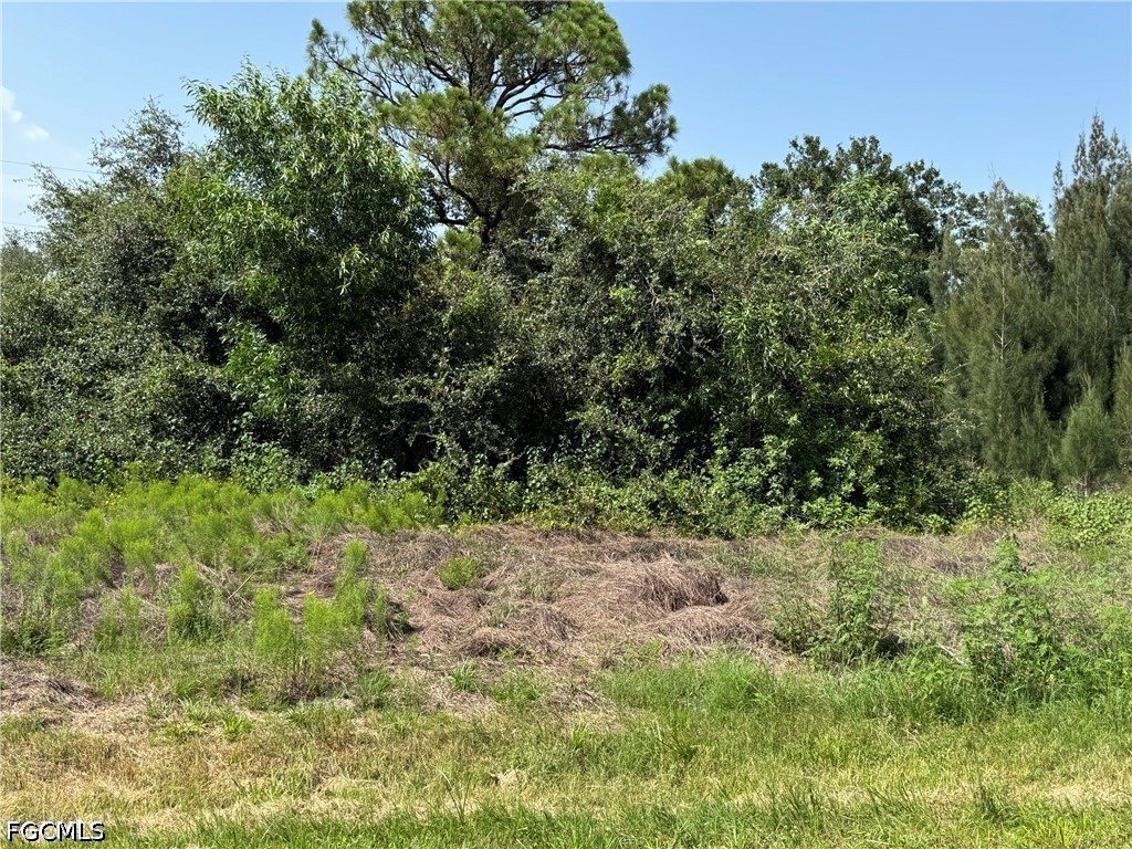 28172 Barstow Dr Property Photo 3