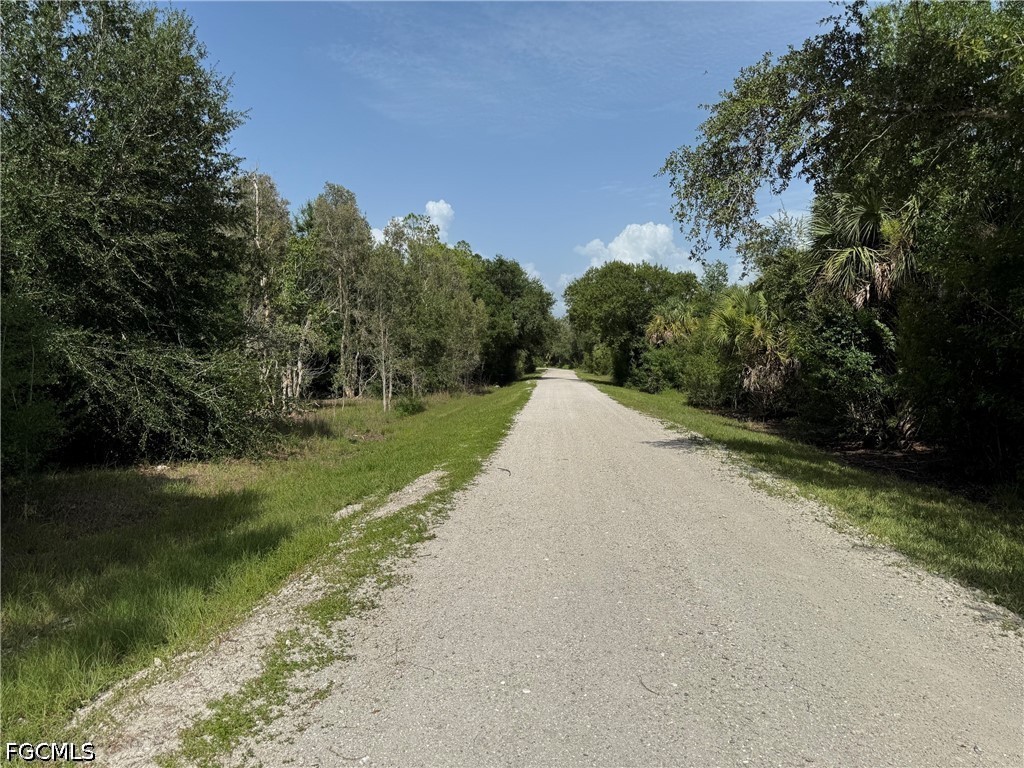 28172 Barstow Dr Property Photo 4
