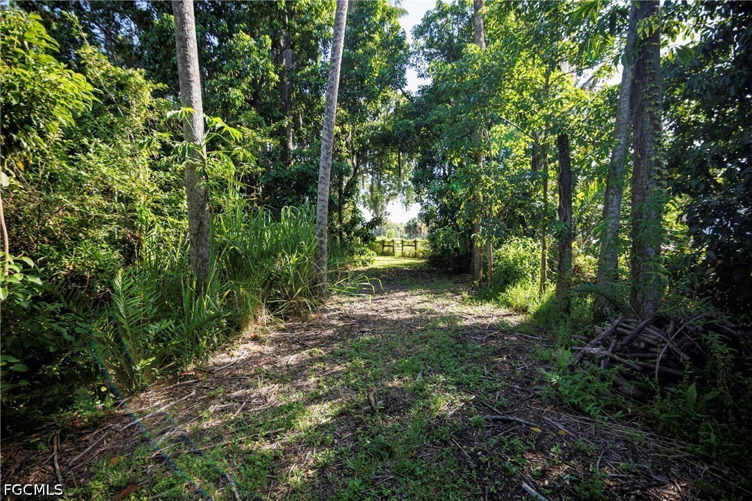 1821 Sunset Trl Property Photo 44