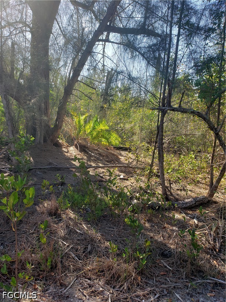 Tbd Masters Landing Dr Property Photo 3