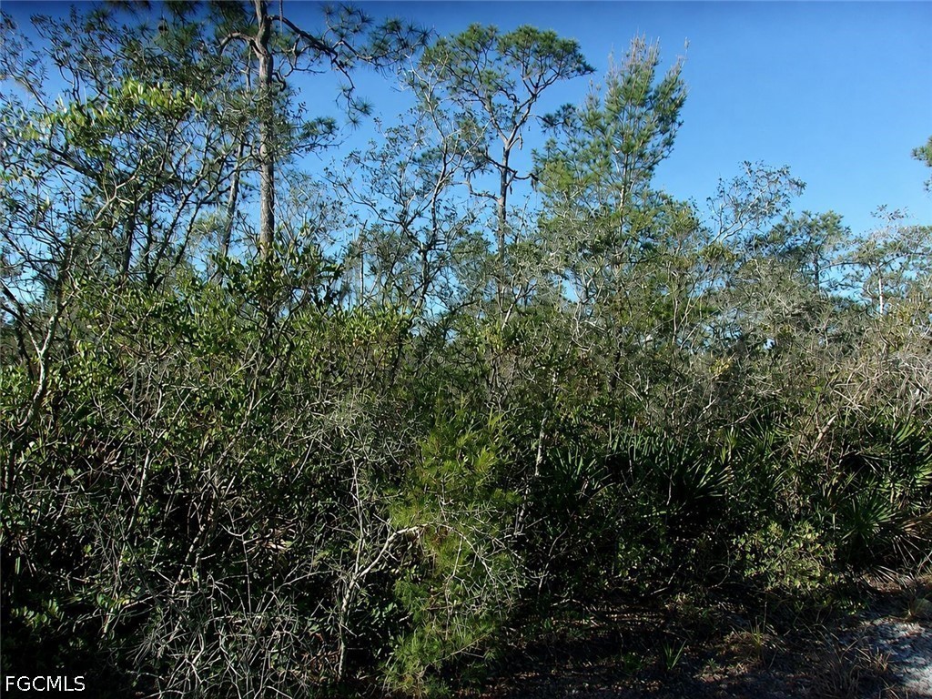 10566 Interlacher Dr Property Photo 3