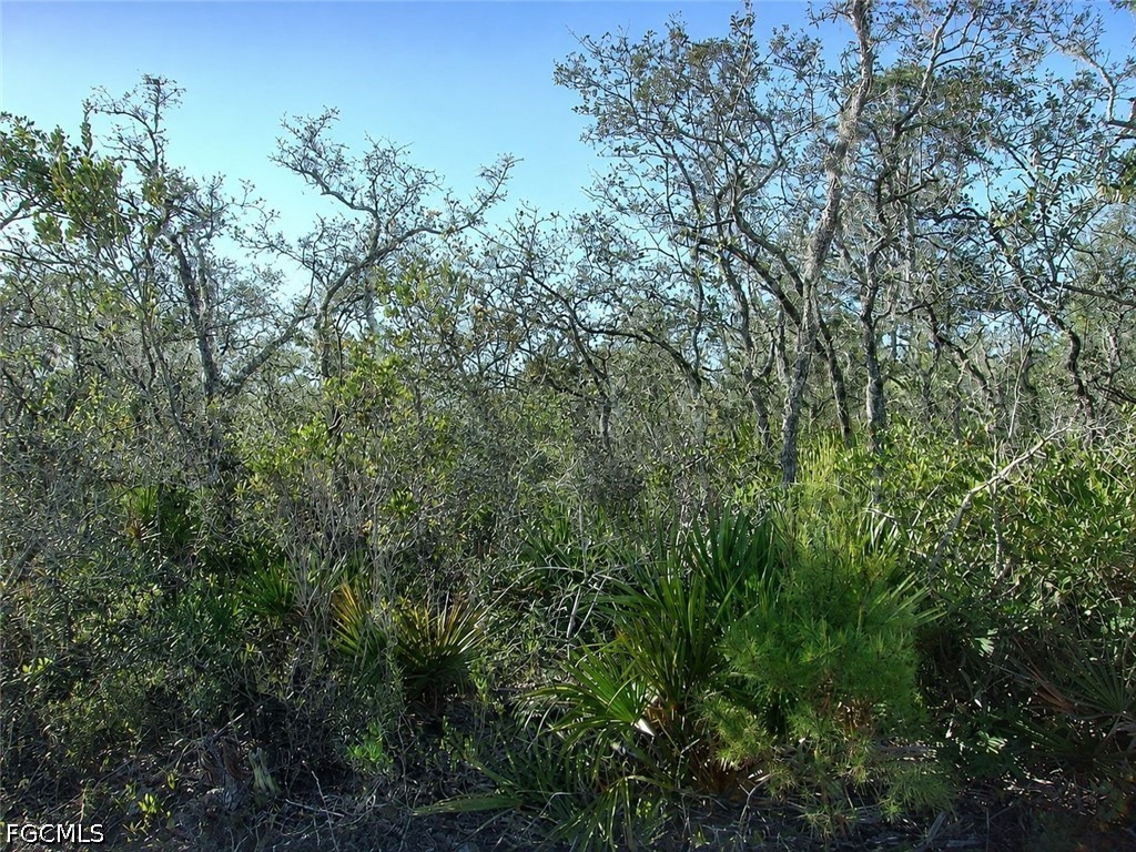 10566 Interlacher Dr Property Photo 5