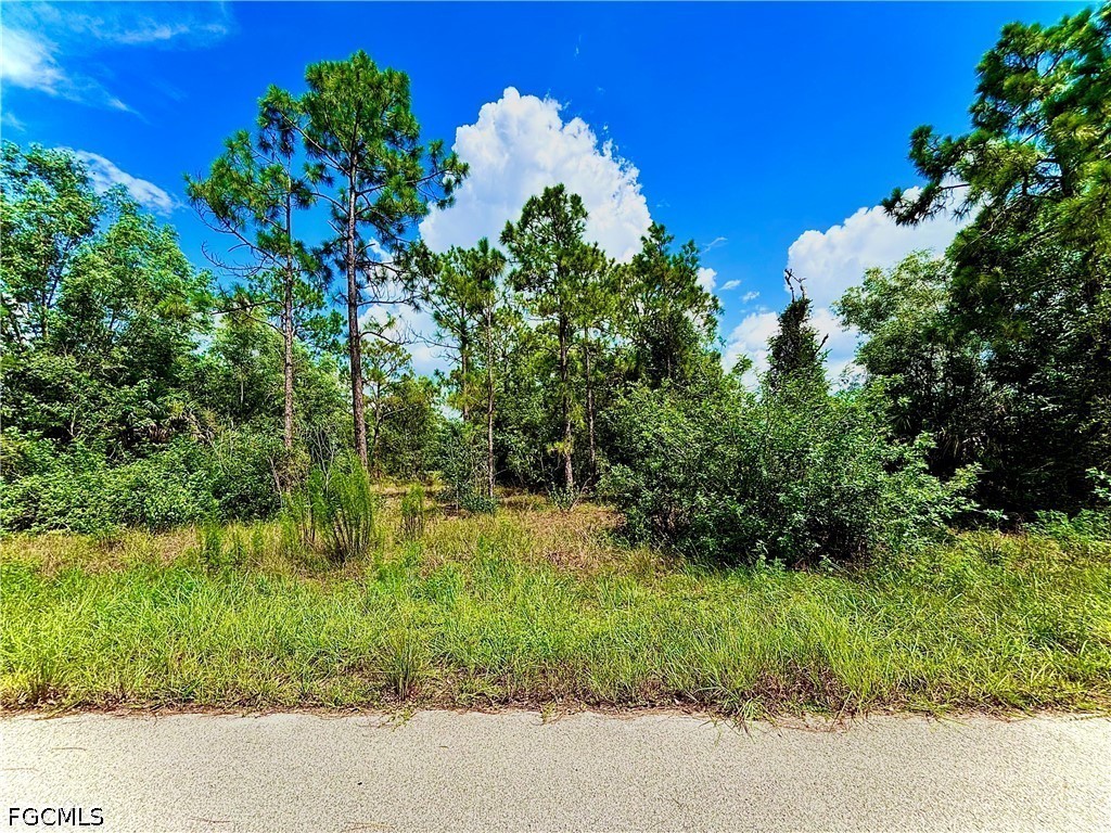 351 Mangonia AVE Property Photo 1