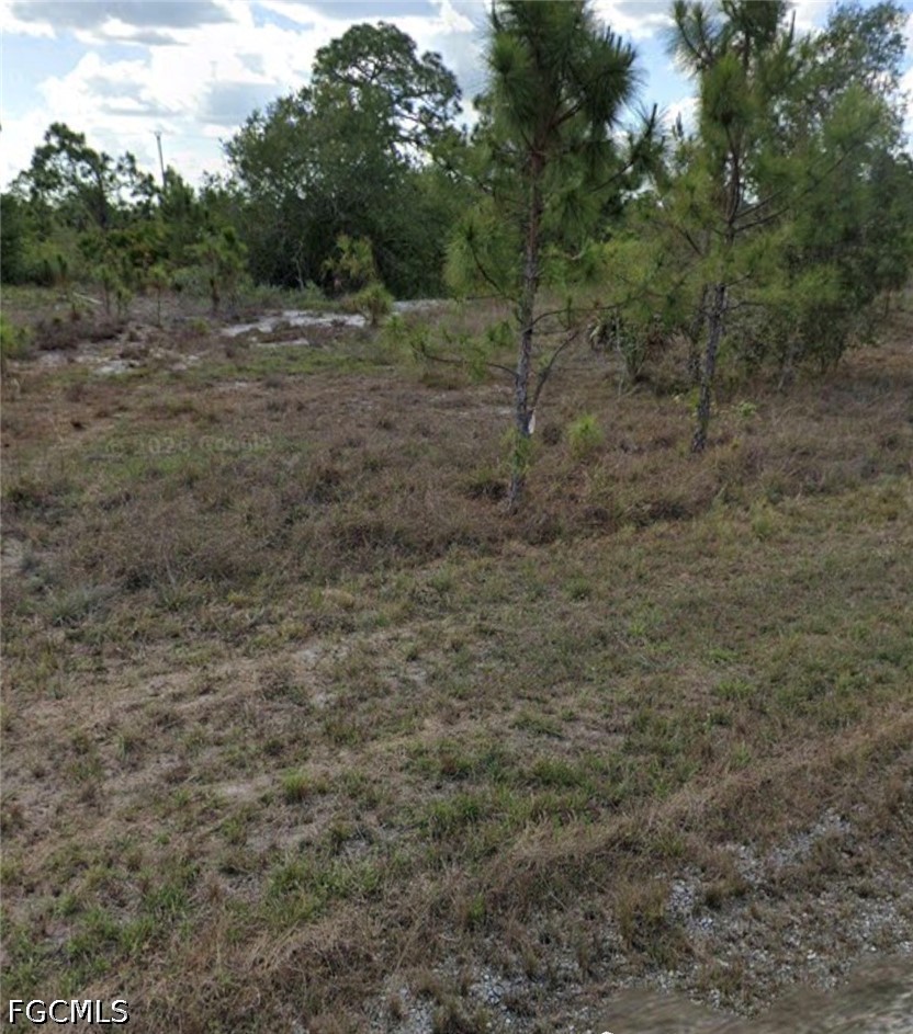 952 Kyle Ave Property Photo 2