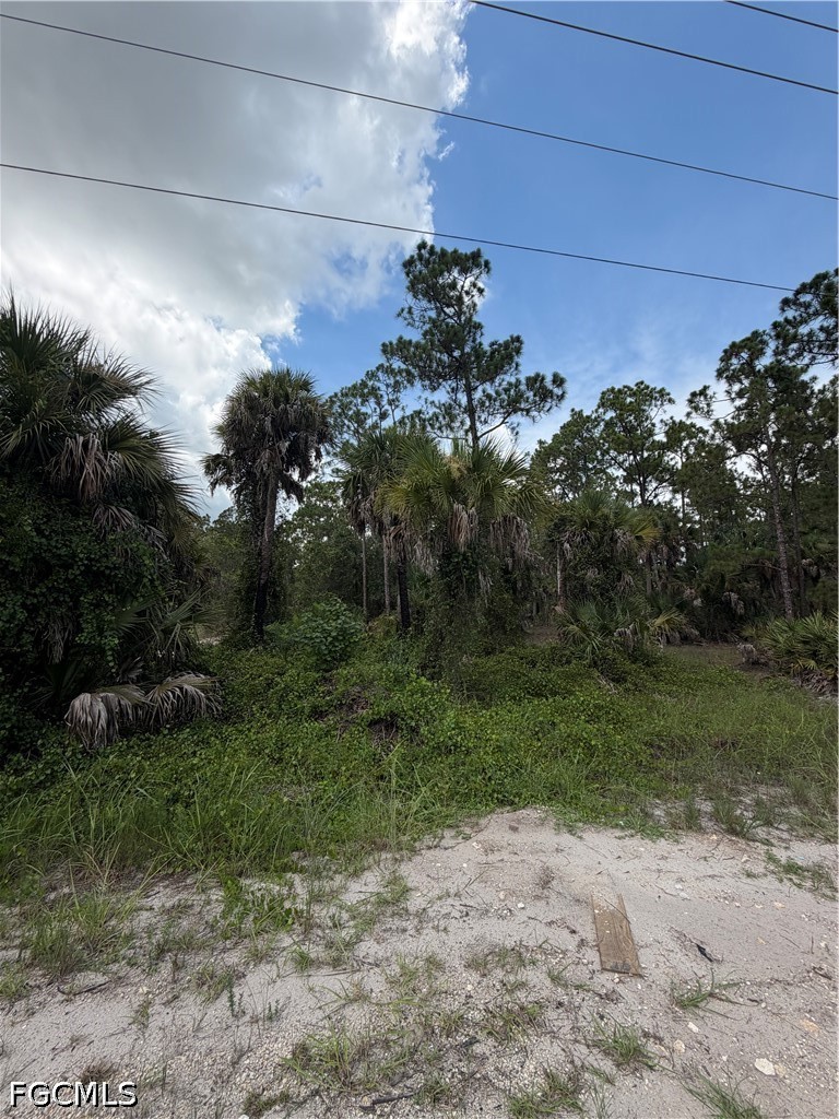 1723 Palmetto Ave Property Photo 2