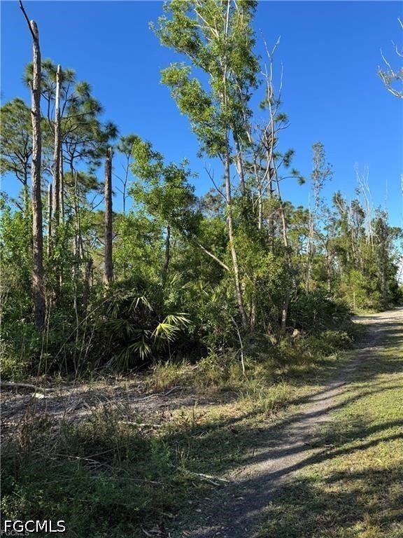 Guava Ave Property Photo 3