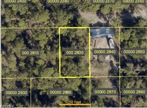 Guava Ave Property Photo 4