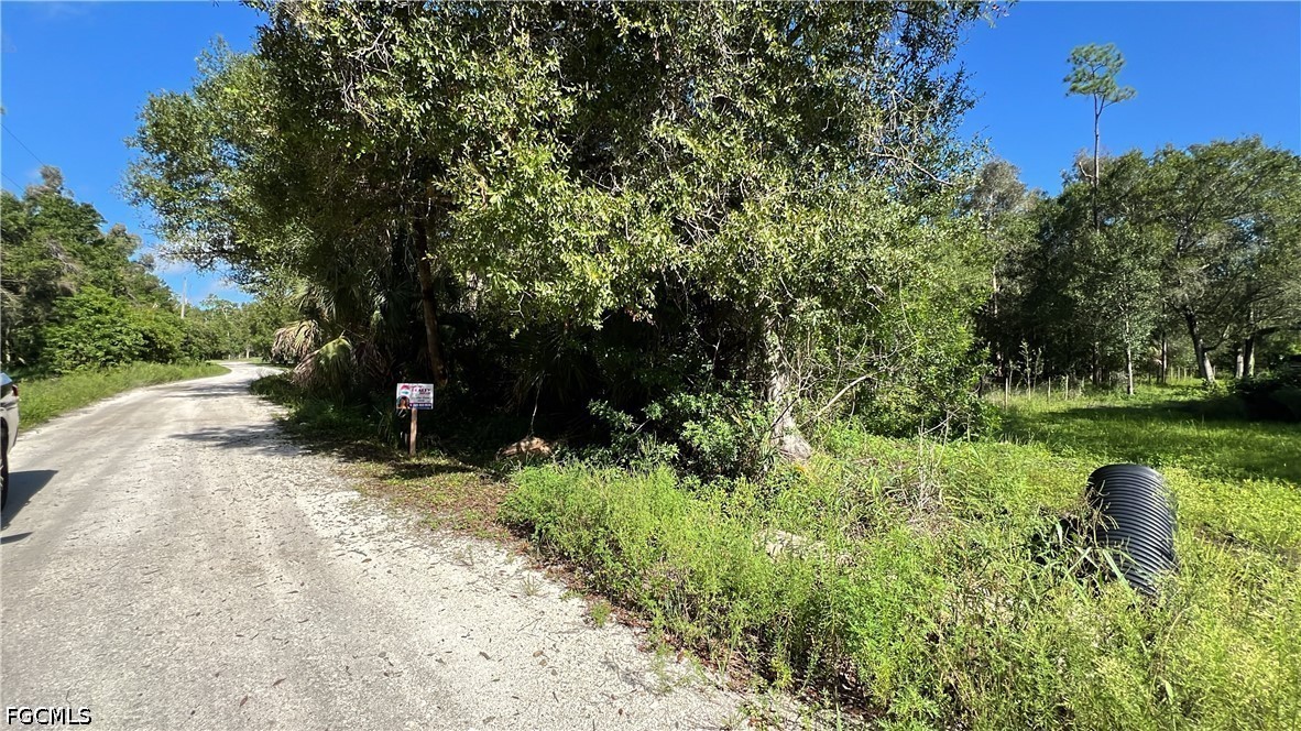 11851 Pine Ave Property Photo 6