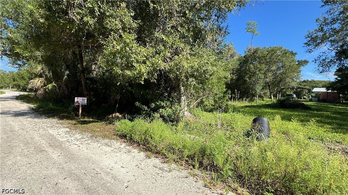 11851 Pine Ave Property Photo 11