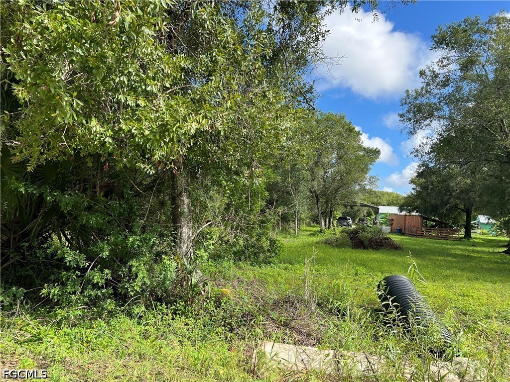 11851 Pine Ave Property Photo 14