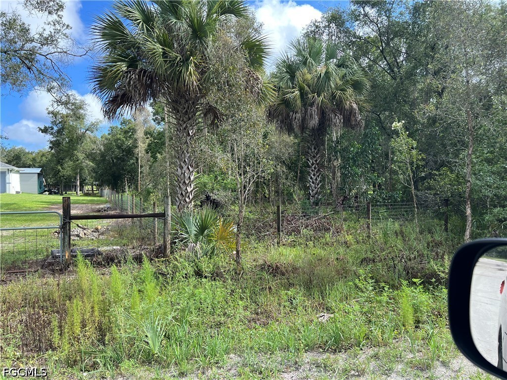 11851 Pine Ave Property Photo 15
