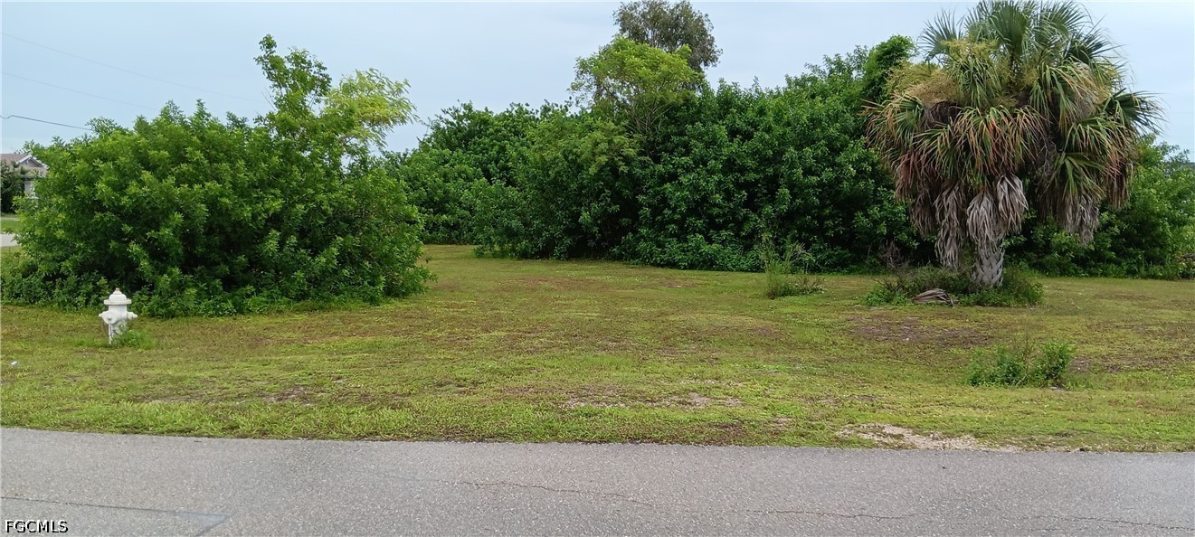 205 Magellan St Property Photo 2