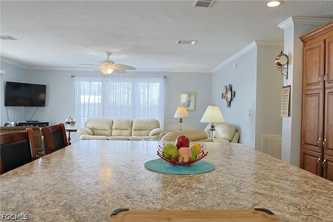 9 Dill St Property Photo 12