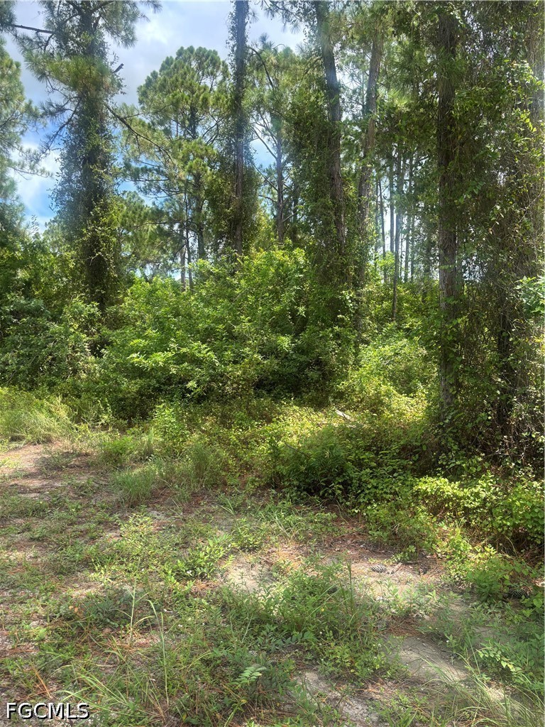 2110 Jackson Ave Property Photo 3