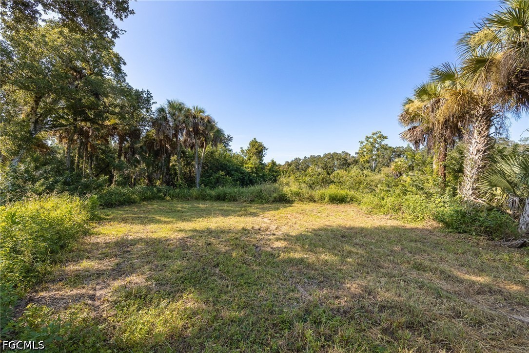 19040 Fox Run Rd Property Photo 2