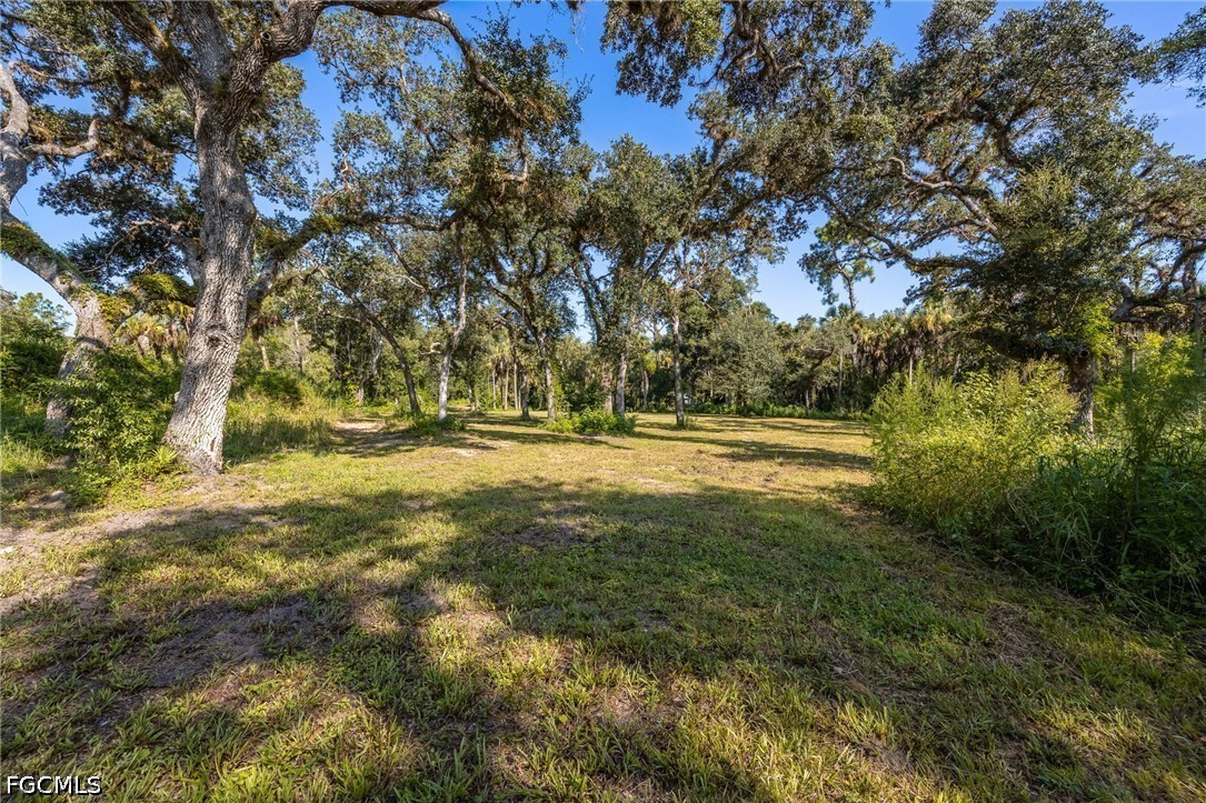 19040 Fox Run Rd Property Photo 6