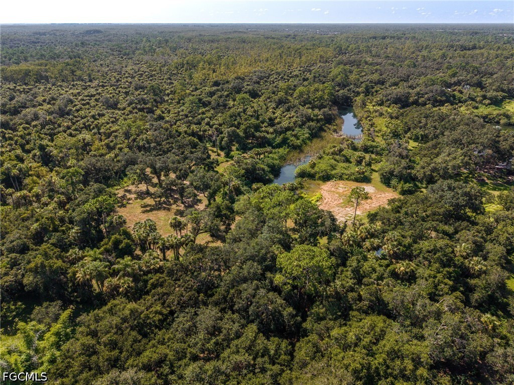 19040 Fox Run Rd Property Photo 22