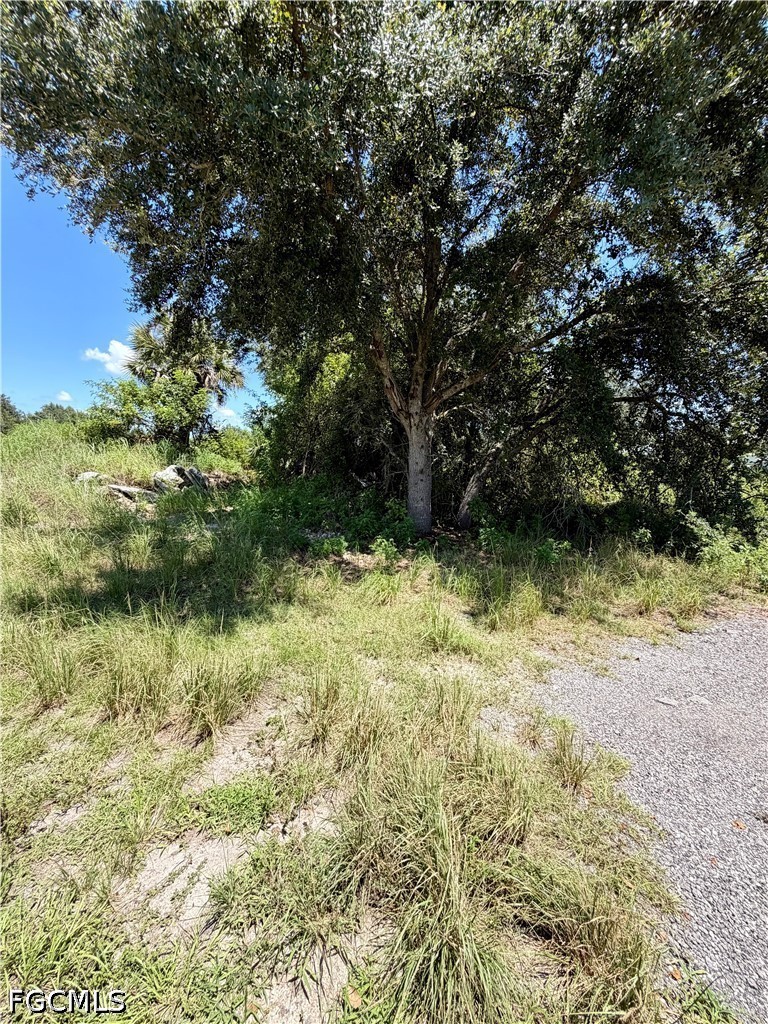 7968 22nd Ter Property Photo 4