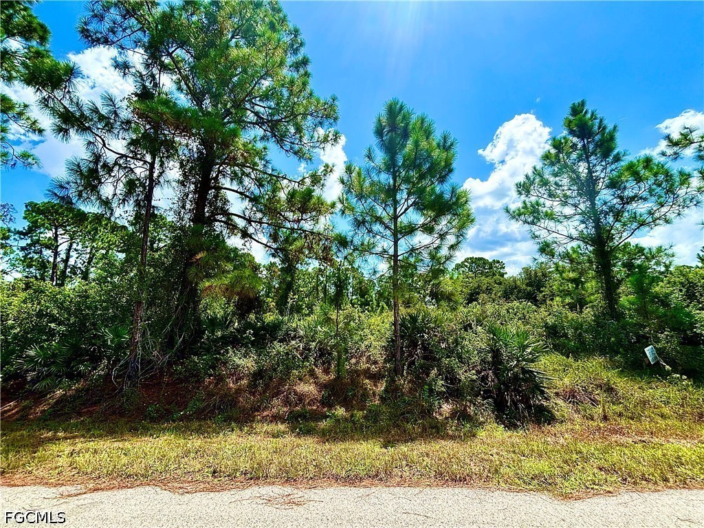 1198 Pine Ave Property Photo 1