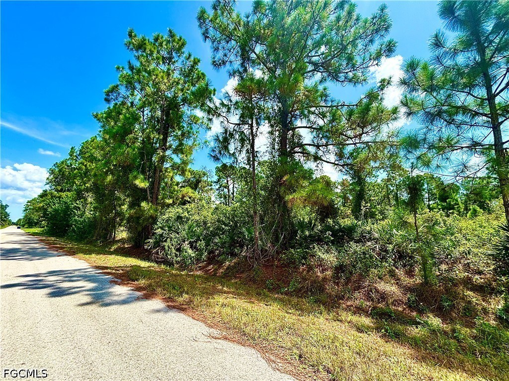 1198 Pine Ave Property Photo 3