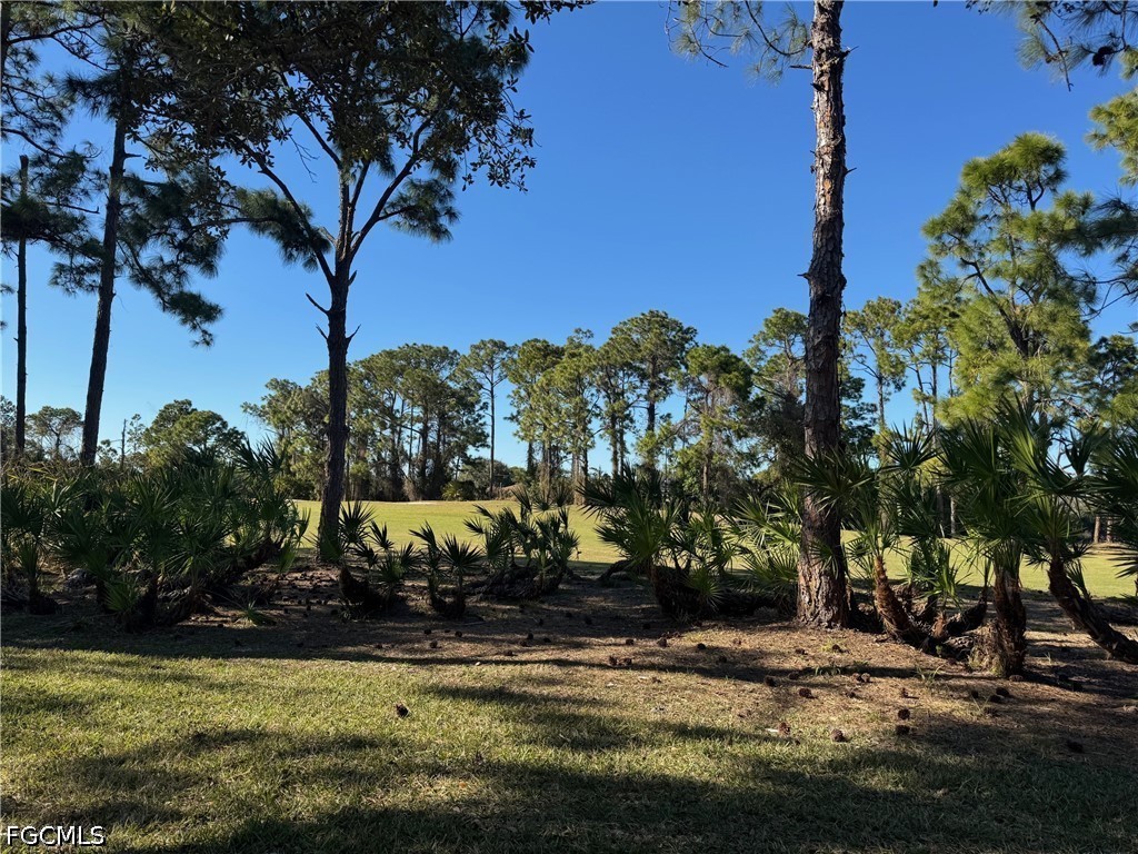 4692 Fairloop Run Property Photo 32