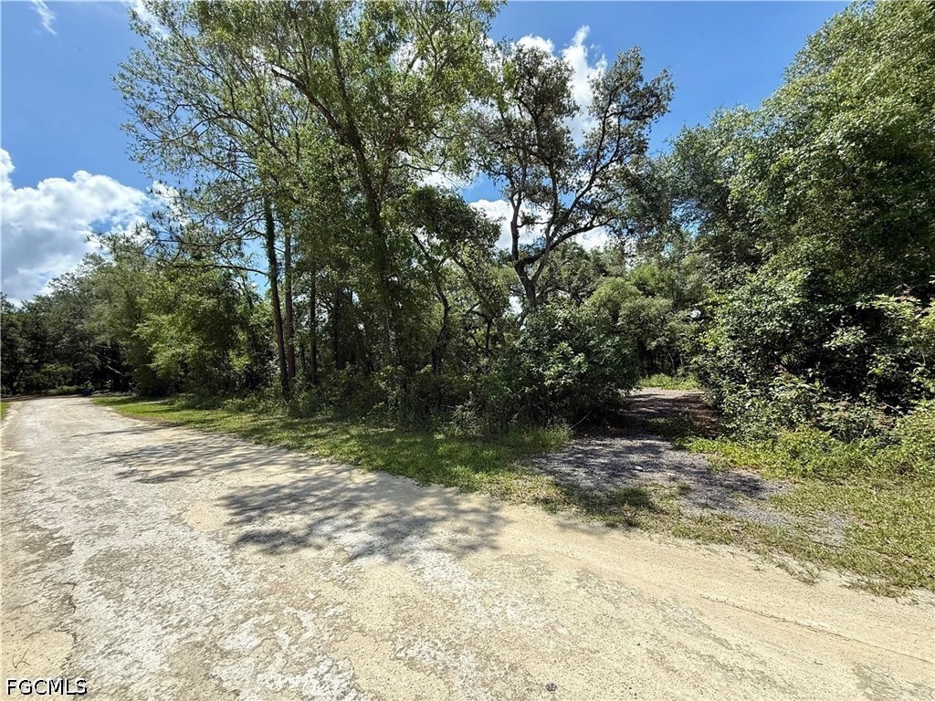 Lot 10 Long Cir Property Photo 3